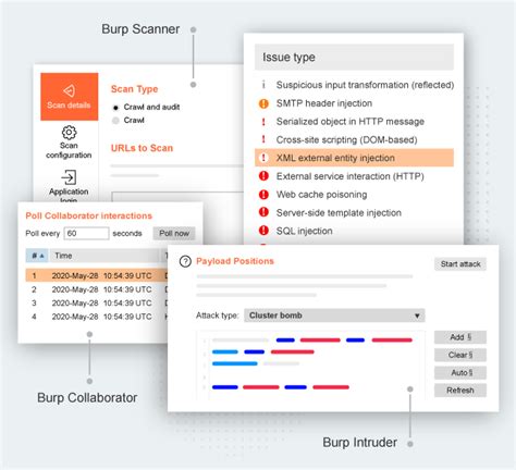 burp suite professional download|burp suite professional 2023 download.